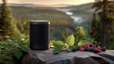Green Tech, Pure Audio: Eco-Audio